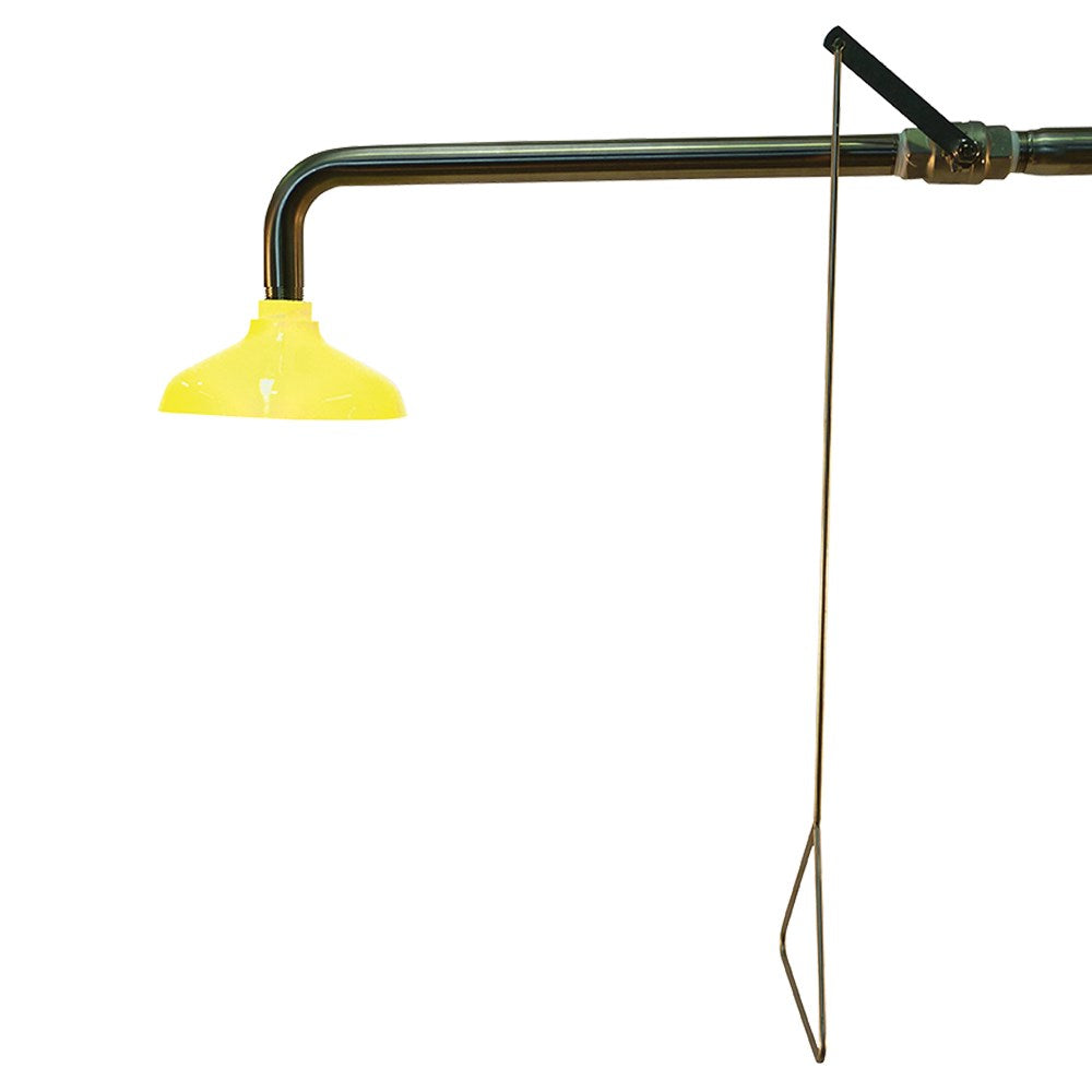 Shower Wall Mounted SE227