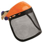 Striker Browguard With Visor Mesh BGVM