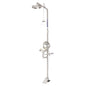 Combination Shower With Eye Wash, With Bowl & Foot Treadle - Flip Top Lid SE693FTL